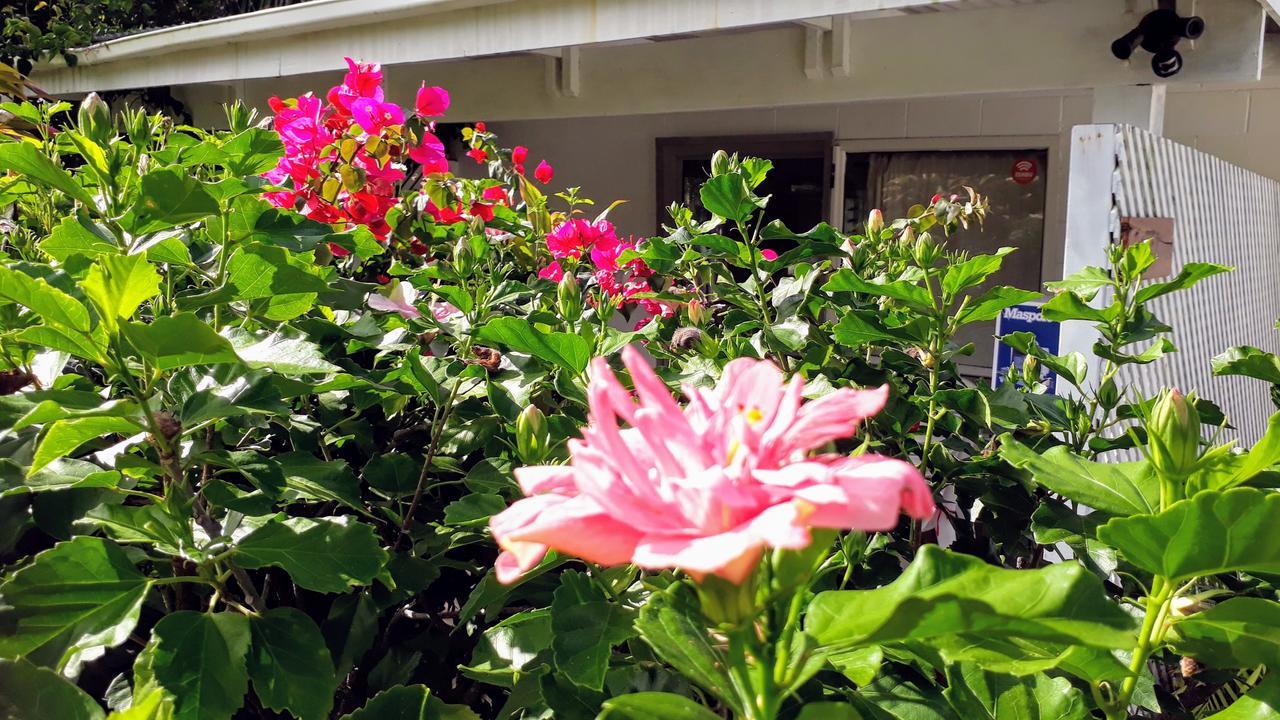 Herons Reef Holiday Apartments Rarotonga Esterno foto